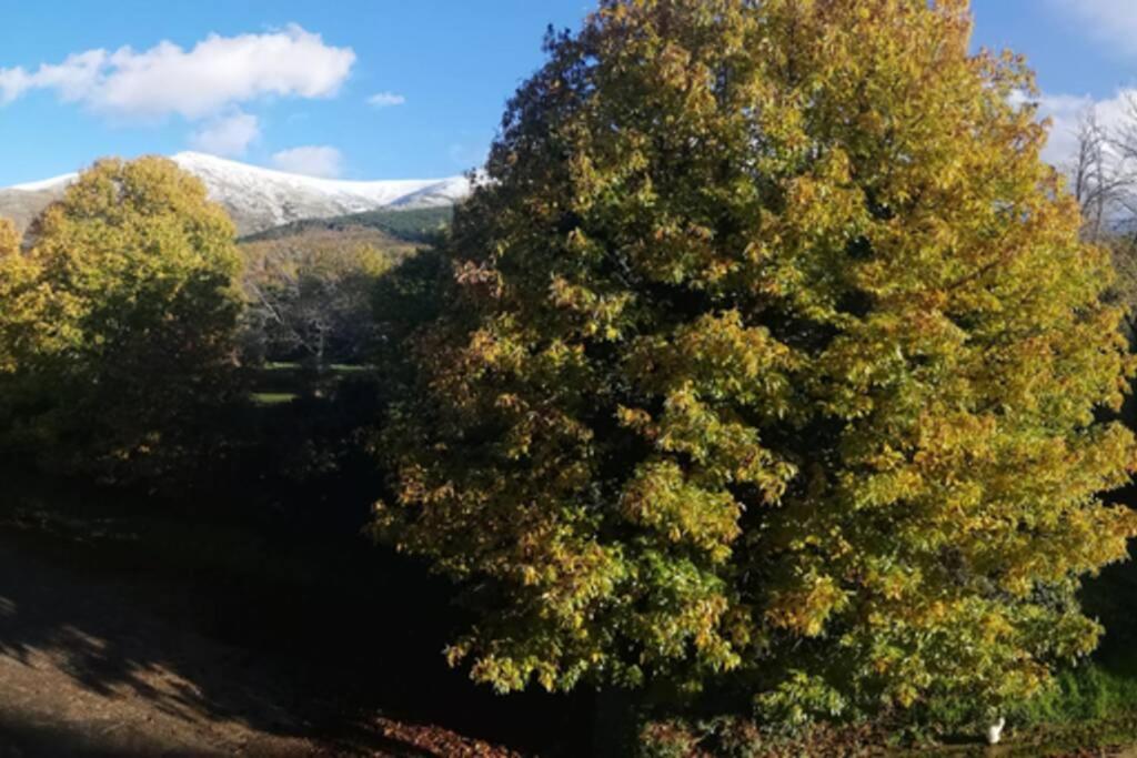 Apto. Rural Las Candelas. La Covatilla Lägenhet Candelario Exteriör bild